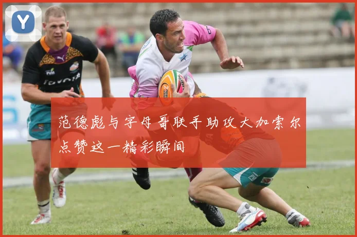 范德彪与字母哥联手助攻大加索尔点赞这一精彩瞬间