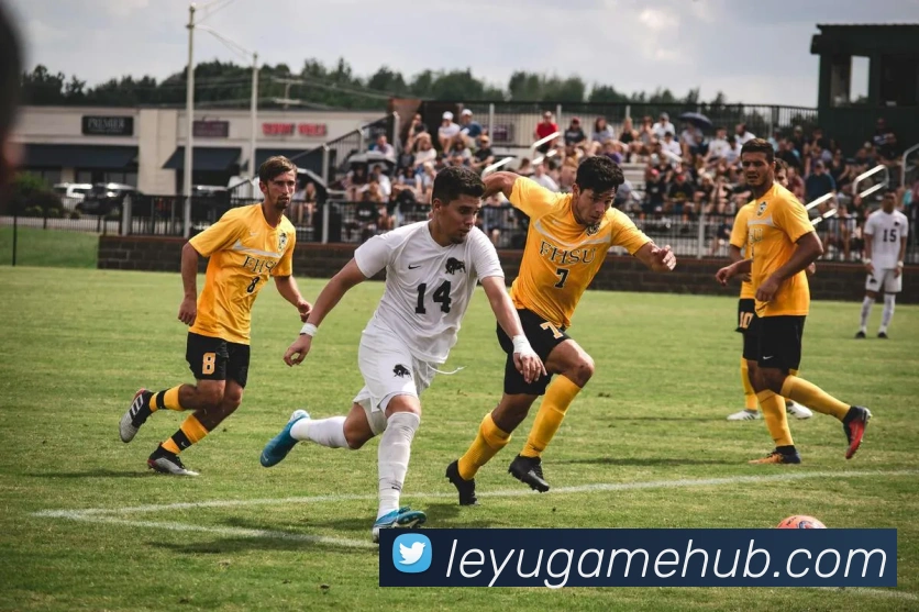 App Interface Preview